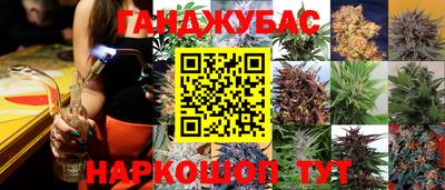шишки Ачхой-Мартан