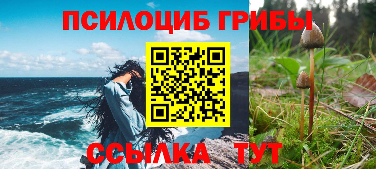 Галлюциногенные грибы прущие грибы Белгород