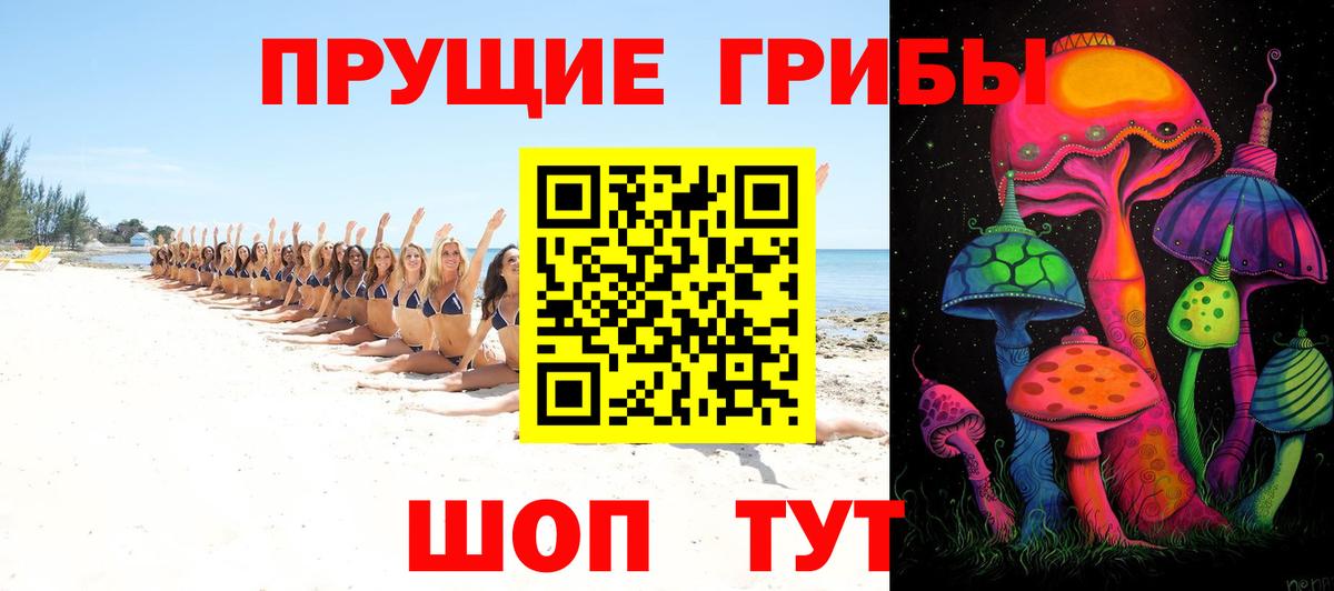 Псилоцибиновые грибы Magic Shrooms  Вход с VPN  Белгород  Псилоцибиновые грибы Cubensis 